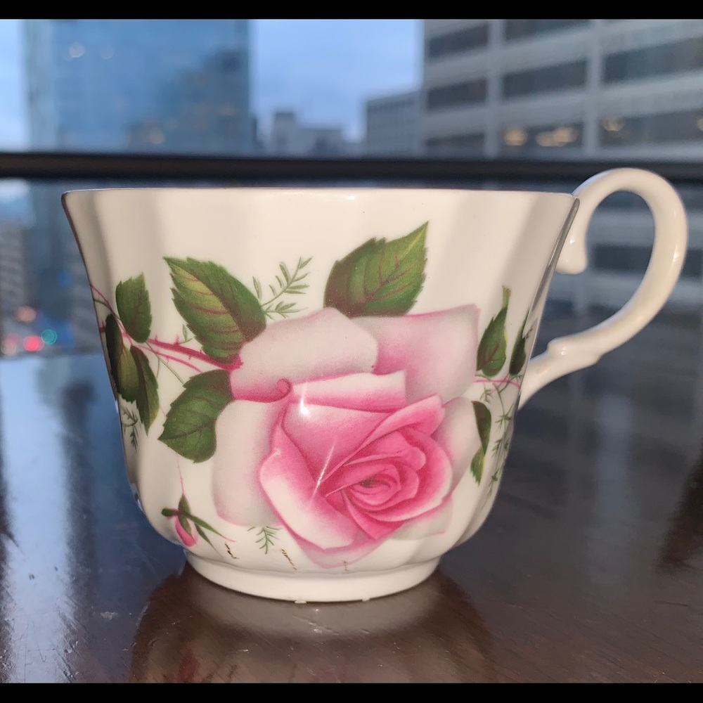 Royal Stuart Fine Bone Rose China tea cup